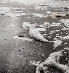 Antique Sea [Foam], (Marines [Écume]) II