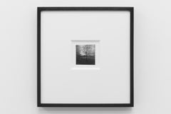 Études de Lumière sur l'Eau (Study of Light on Water) II