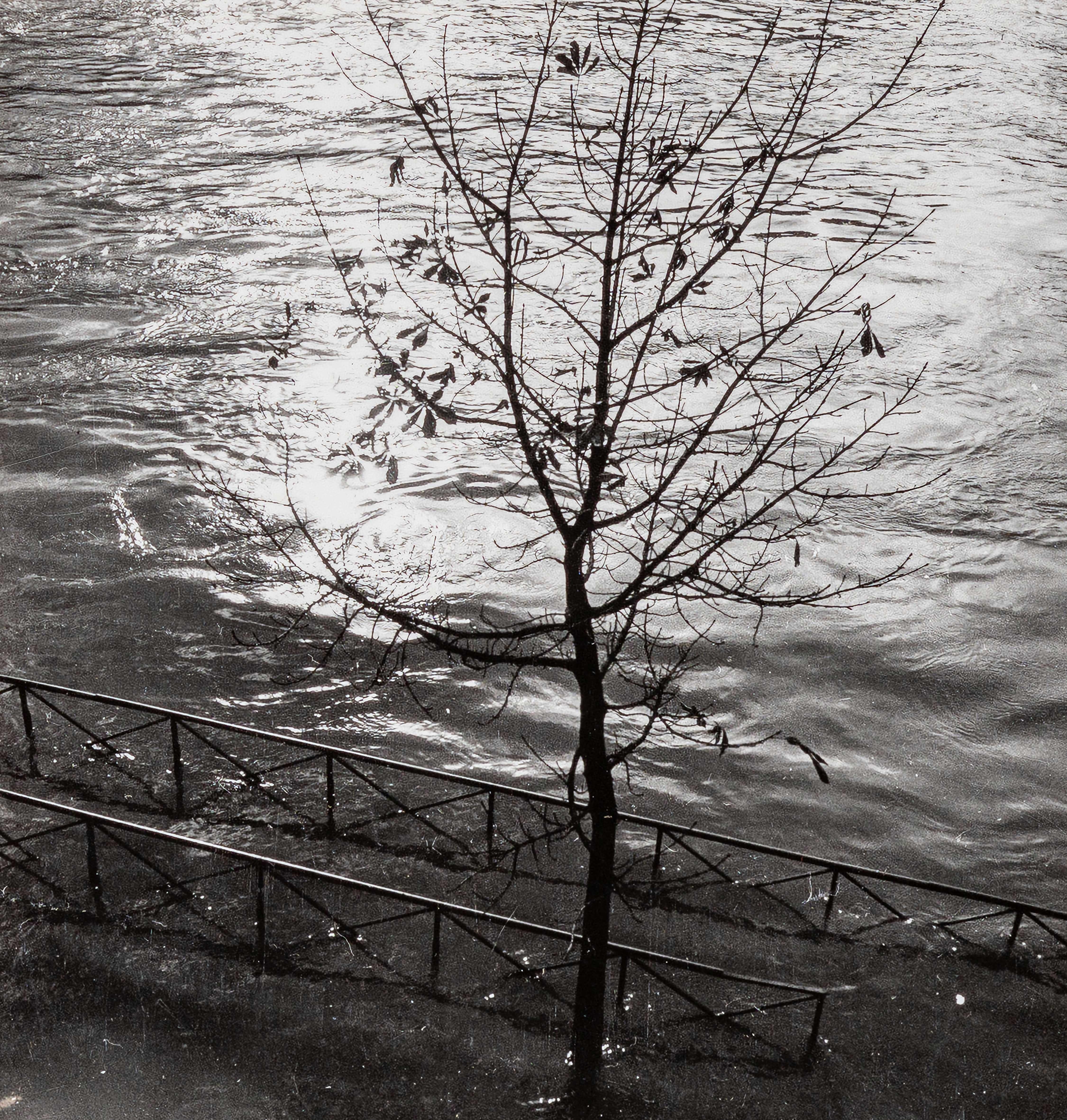 Dora Maar Black and White Photograph - Study of Light on Water, (Études de Lumière sur l'Eau) II