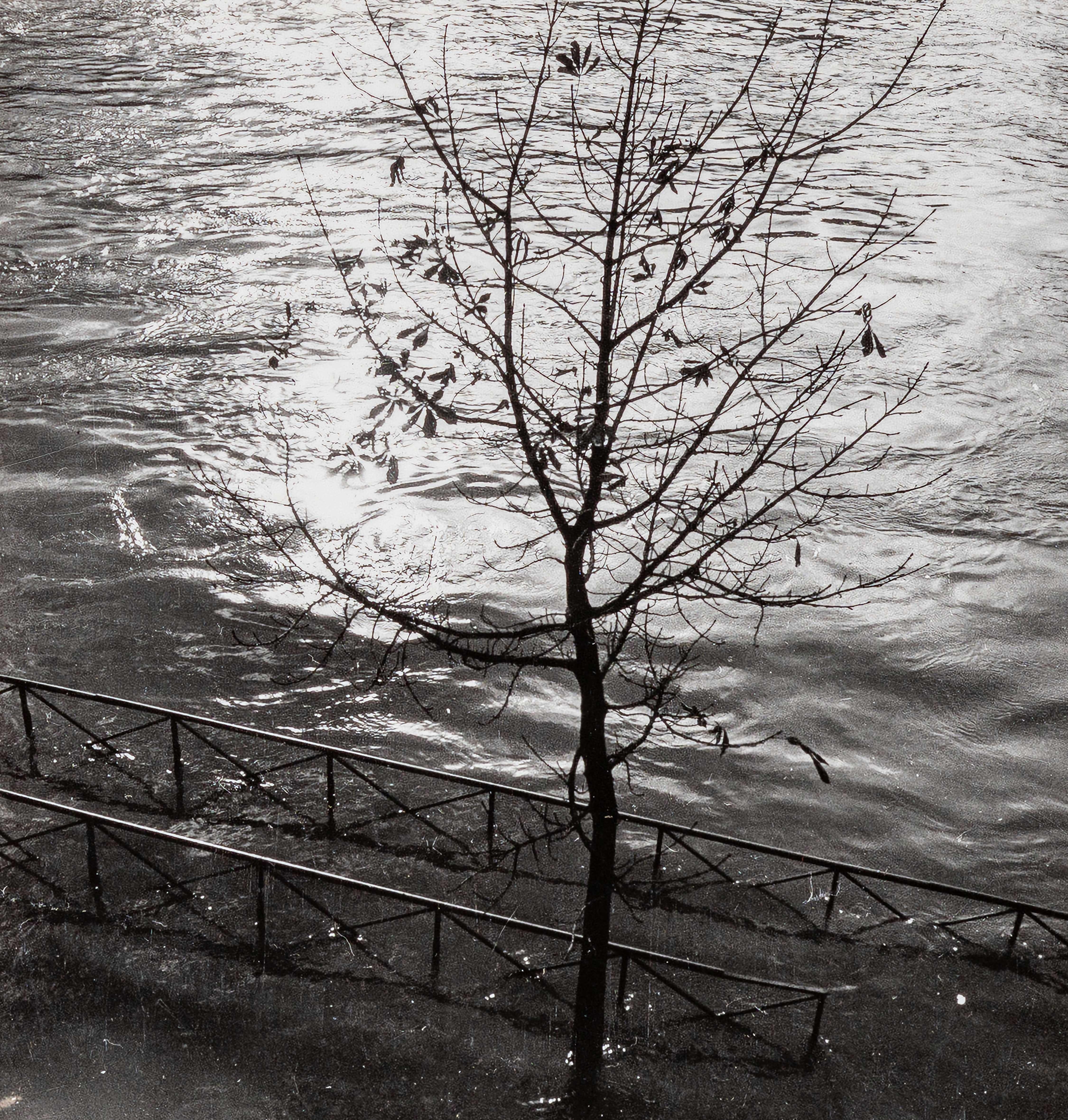 Black and White Photograph de Dora Maar - Estudio de la Luz sobre el Agua, (Études de Lumière sur l'Eau) II