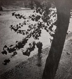 Walker on Quai de la Seine, Paris, (Promeneur sur les Quais de Seine, Paris)