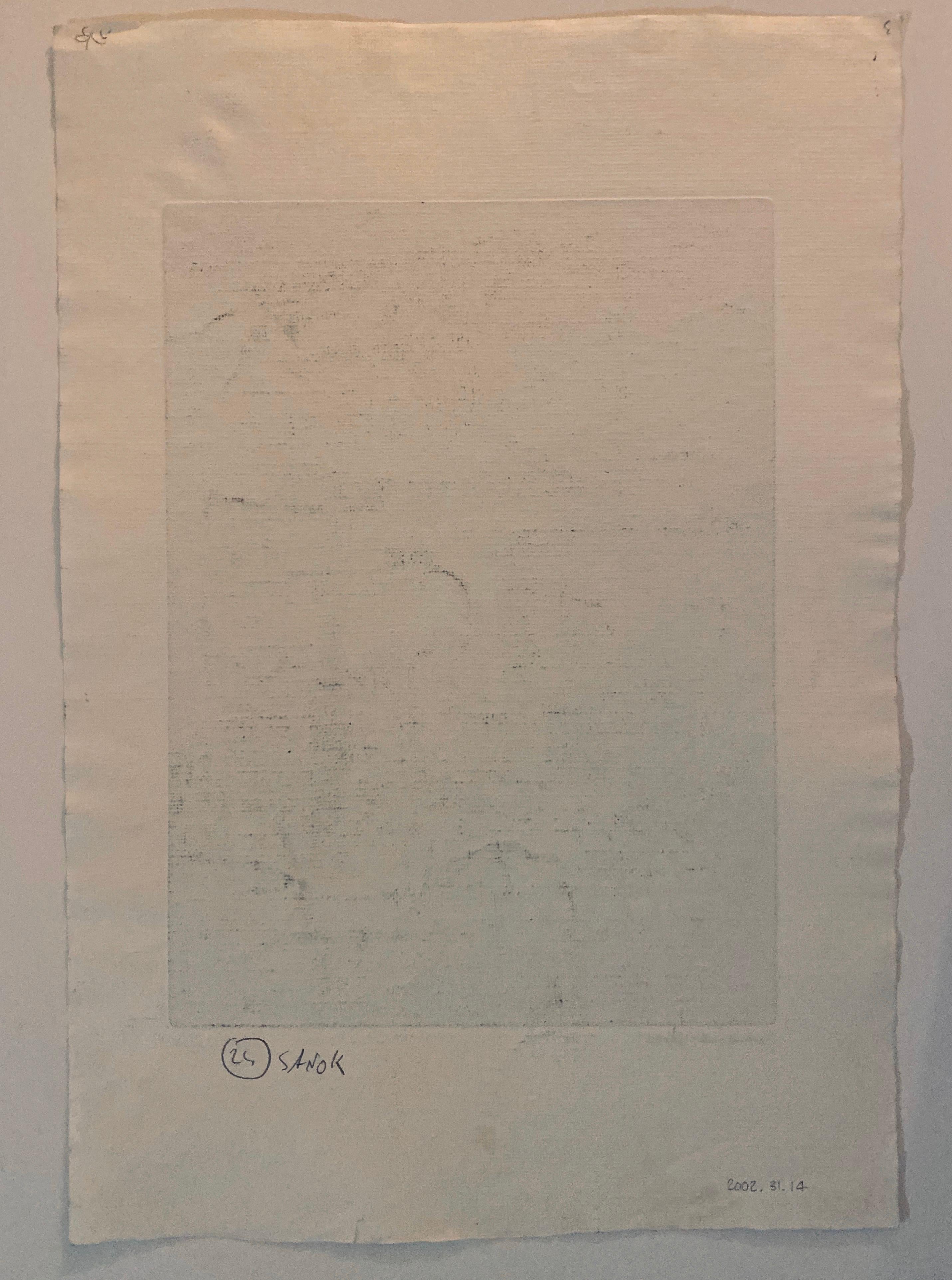 Cracovia Polonia Grabado de la Sinagoga Polaca, templo judío. De pequeña edición muy rara. La mayoría están firmadas en hebreo y/o inglés. algunas están marcadas AP algunas están numeradas. por favor, mira las fotos.
Dora Szampanier (Shampanier, de