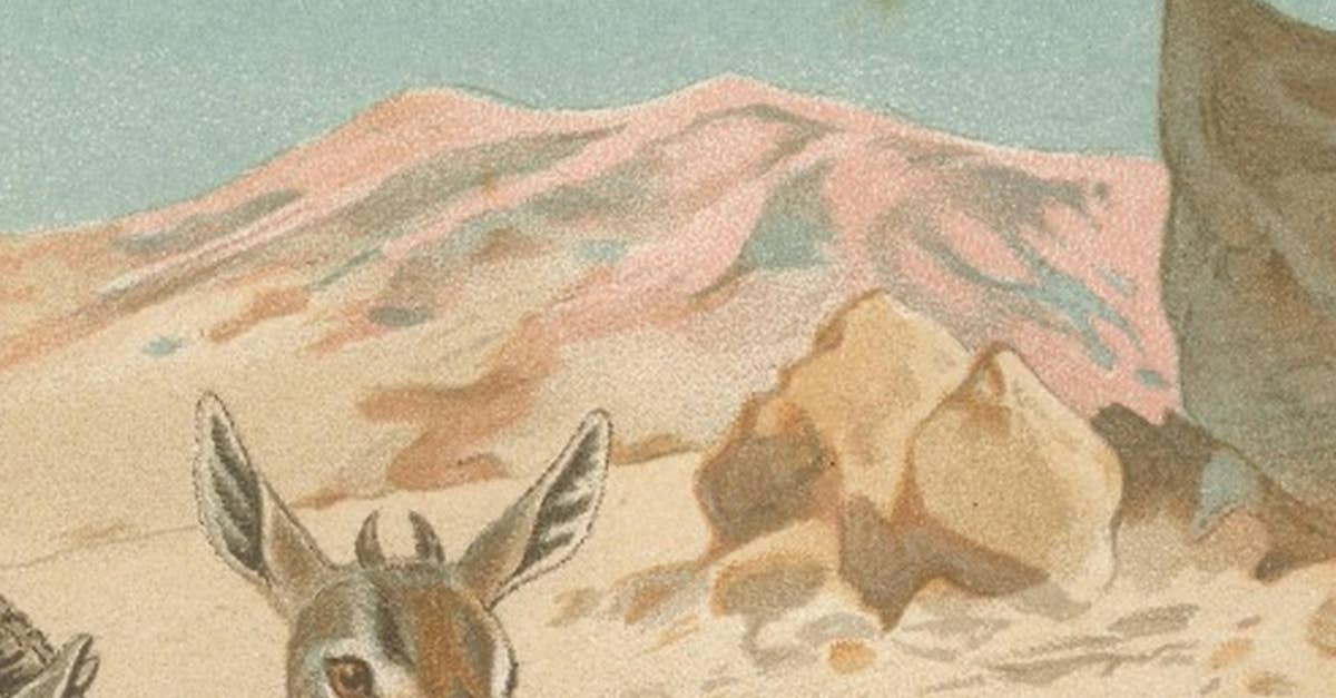 Dorcas Gazelle – Antique Desert Antelope Chromolithograph, 1894