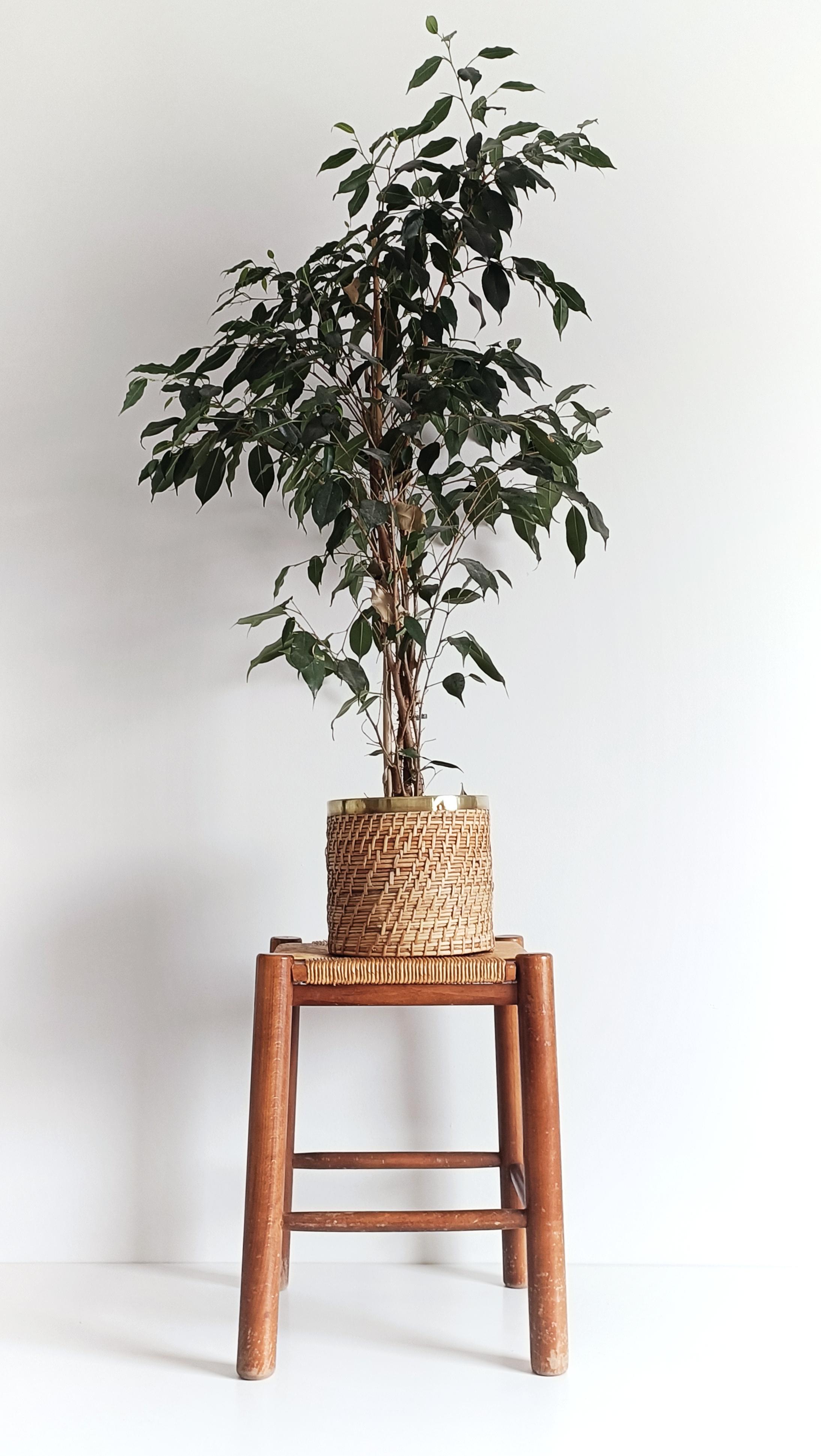 Französischer Hocker im Stil von Charlotte Perriand für Robert Sentou, 1950er Jahre im Angebot 1