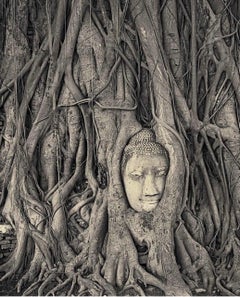 Dorian Caster, Buddha Head, Framed