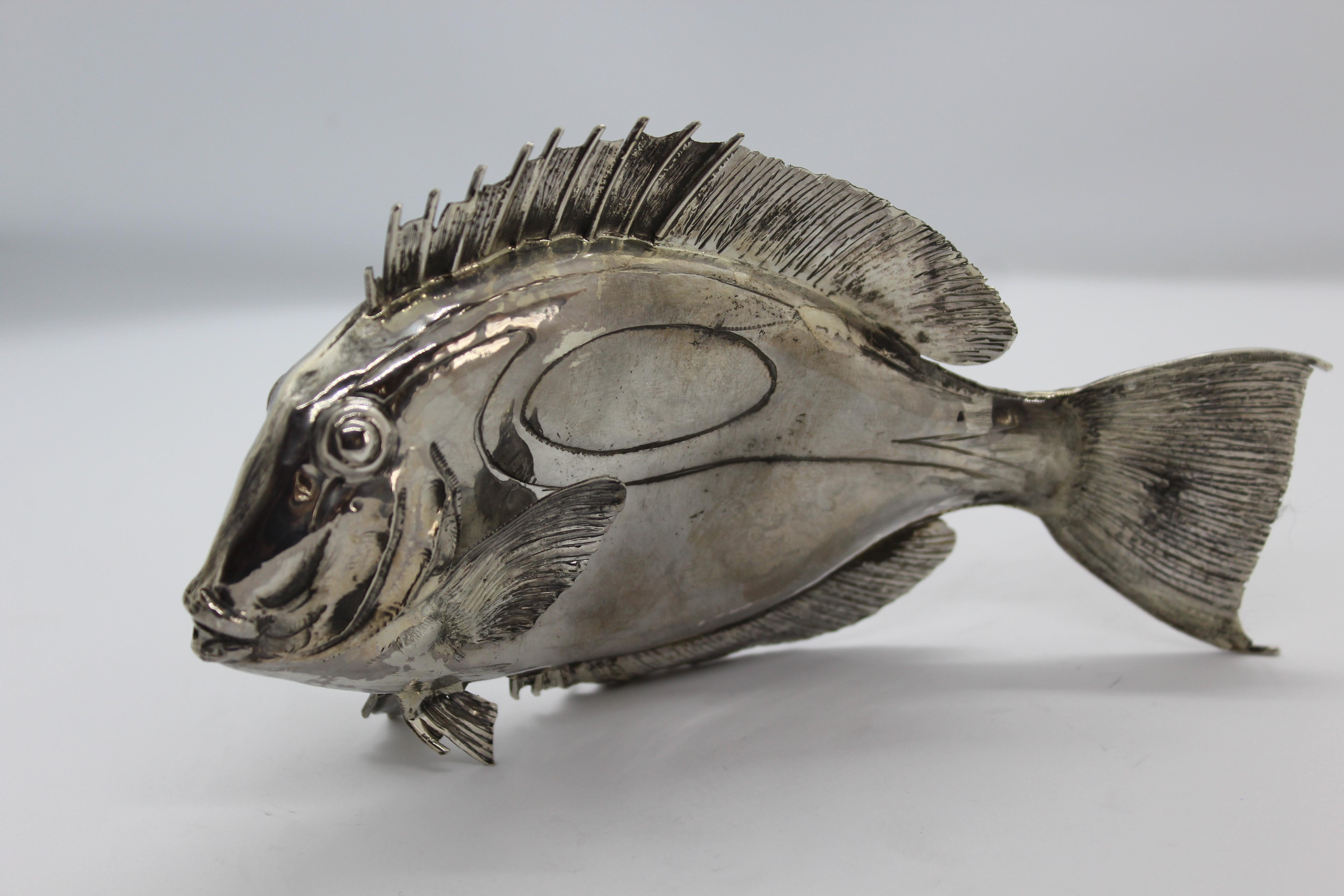 Doris Fish Silver Ornament wird vollständig in Florenz, Italien, hergestellt.
Es gibt zwei Modelle, zwischen denen Sie wählen können.
Giuliano Foglia ist der Künstler, der dieses Stück aus reinem Silber ziseliert hat.

