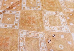 Doris Leslie Blau Antique Agra Indian Tan With Beige Cotton Rug - c. 1900