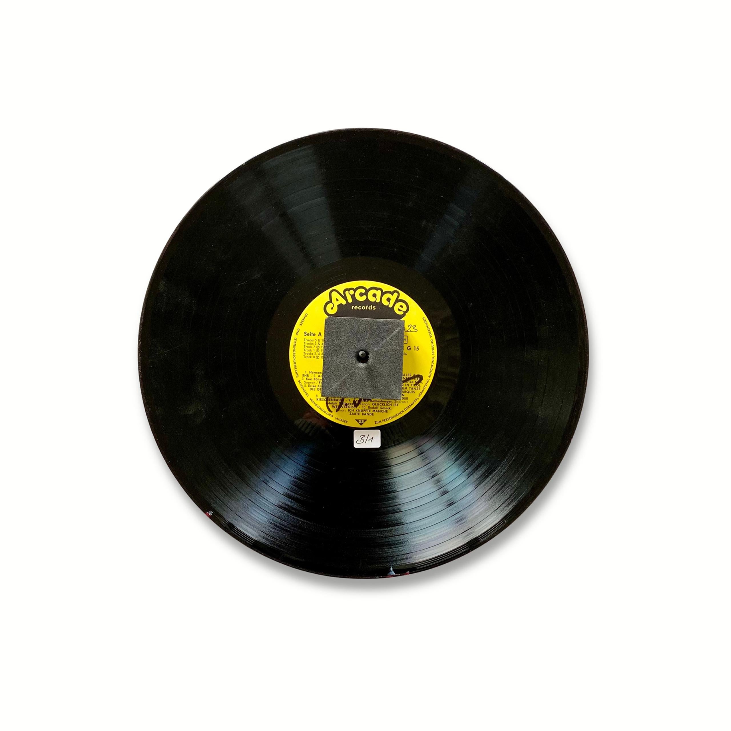 SUONO E VISIONE - Budgies di Doris Marten - Installazione su vinile in vendita 4
