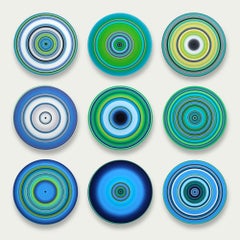 SOUND AND VISION – Budgies by Doris Marten - Installation on vinyl