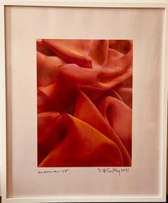 Arancia from Seta Series, Contemporary Digital Pigment Print, Signed