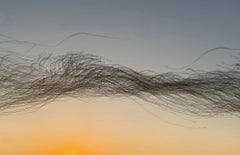 Lockdown Gulls (Sunset)