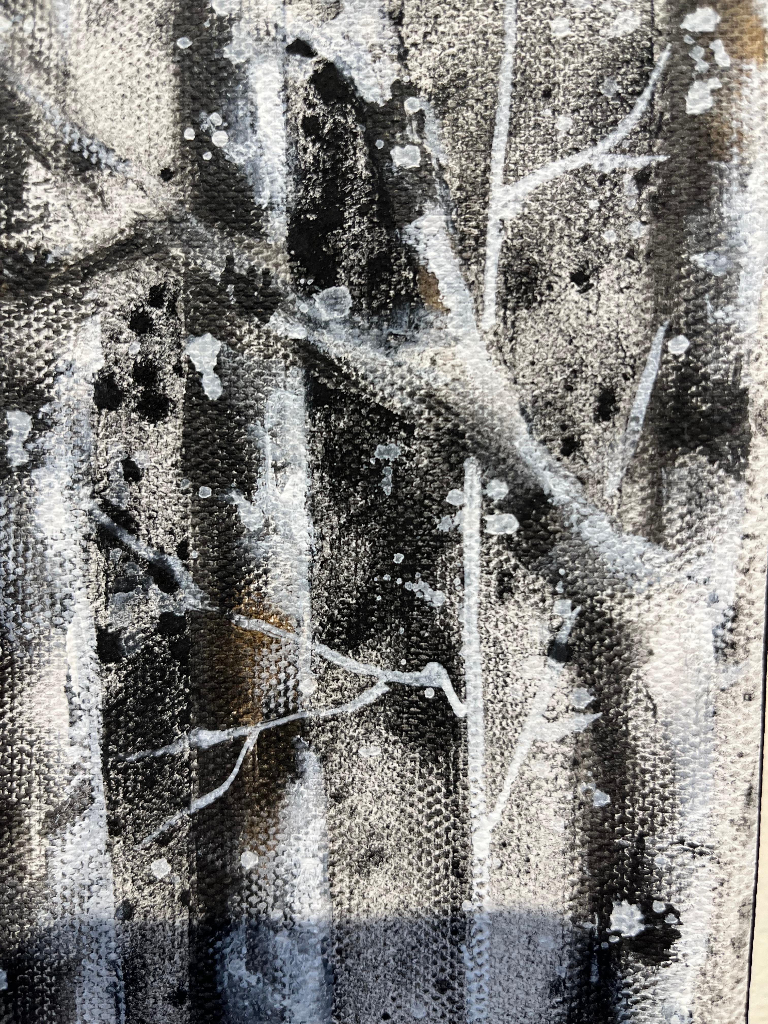 Birch Trees in Winter For Sale 2