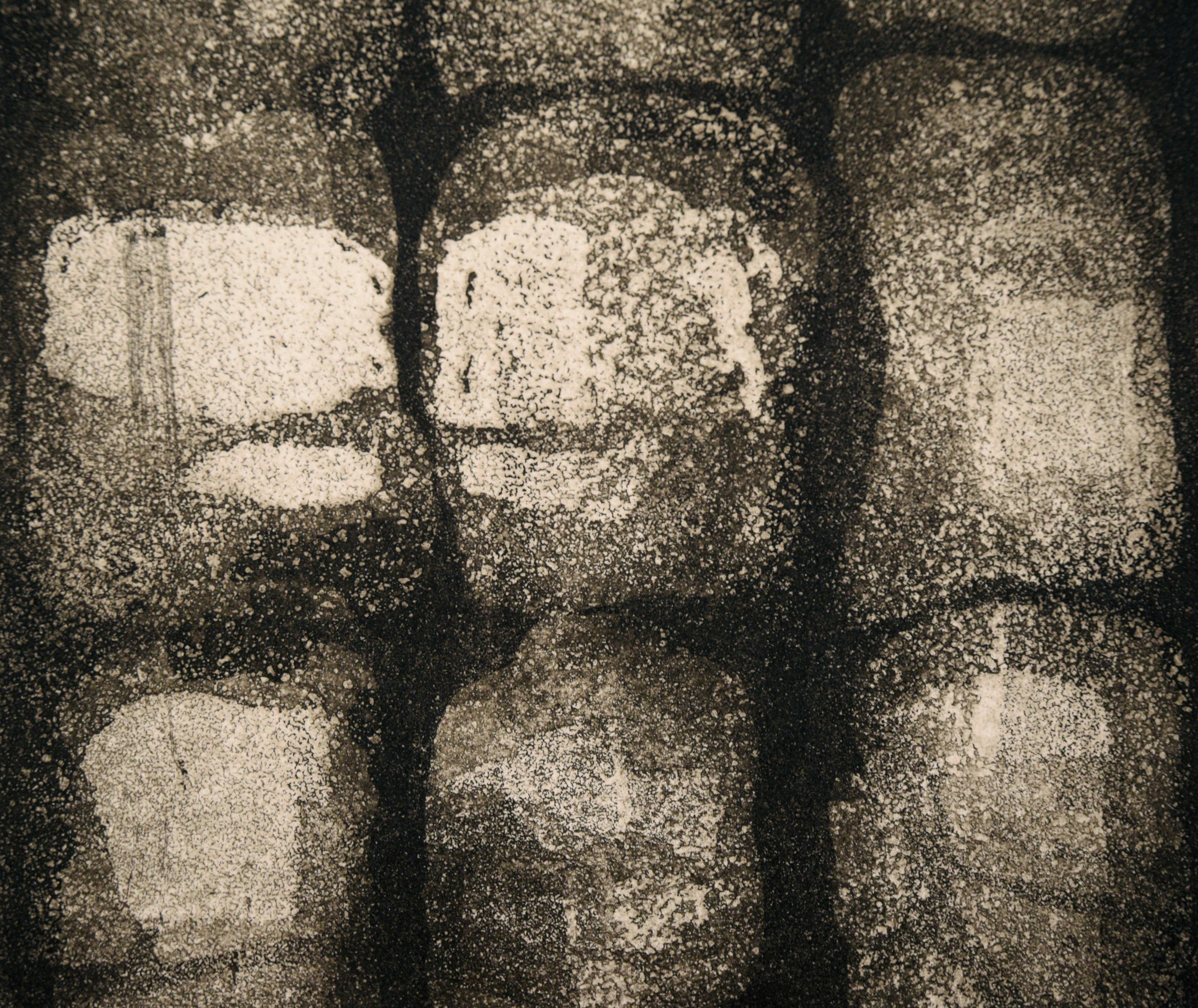 „Sum of the Parts“ – Abstrakte Radierung mit Tinte auf Papier (#3/20) (Grau), Interior Print, von Doris Warner