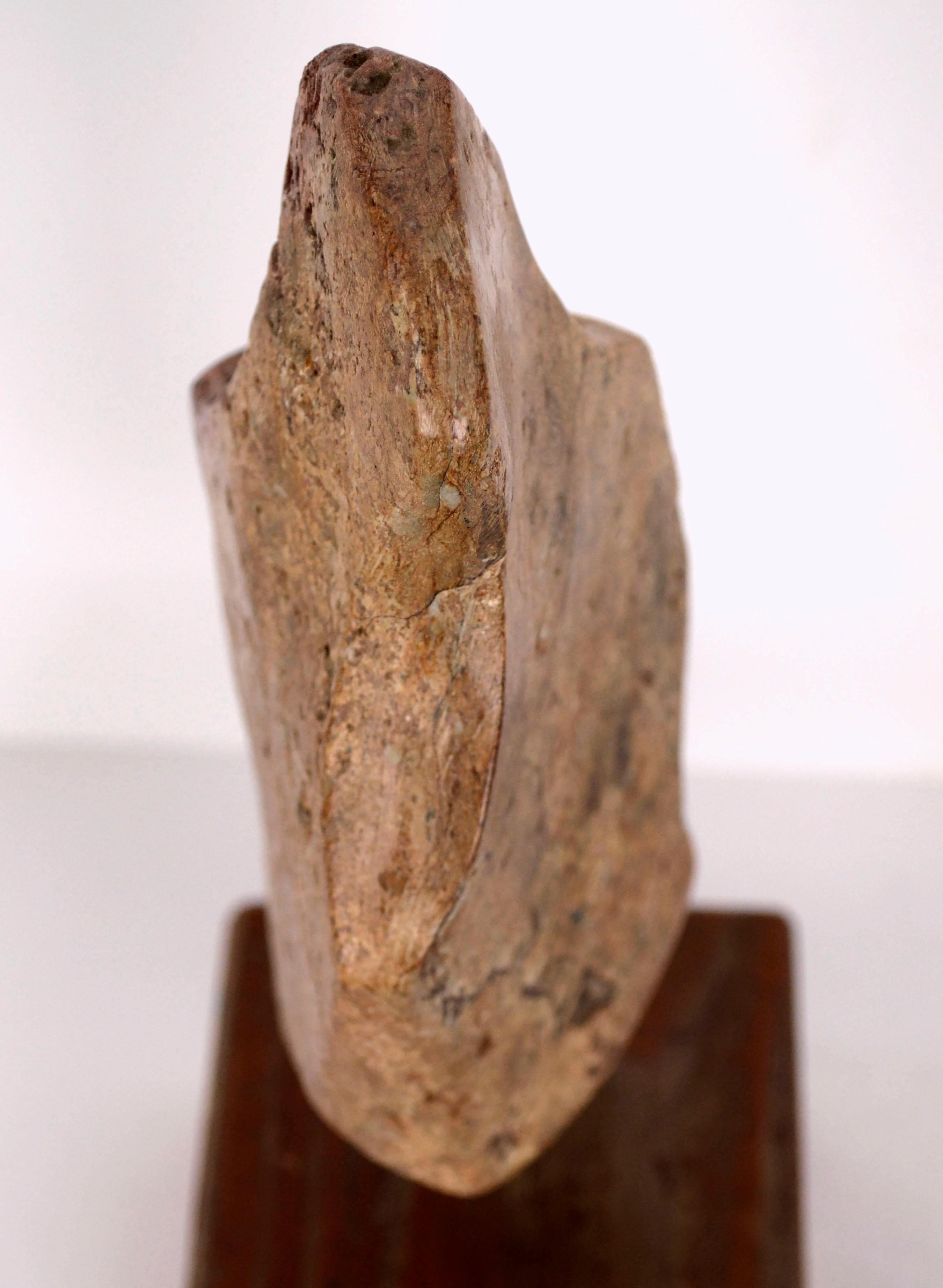 Venus, Modern Abstract Figurative Sculpture #37 For Sale 2