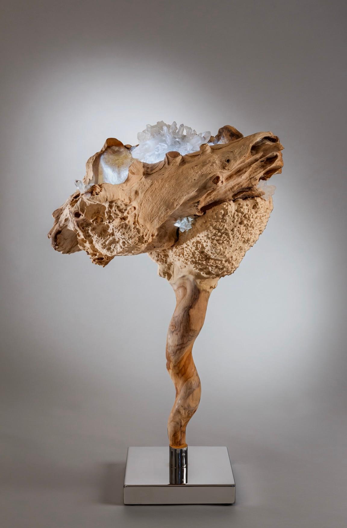 "Higher Consciousness" Teak Root and Quartz Crystal Modern Organic Sculpture