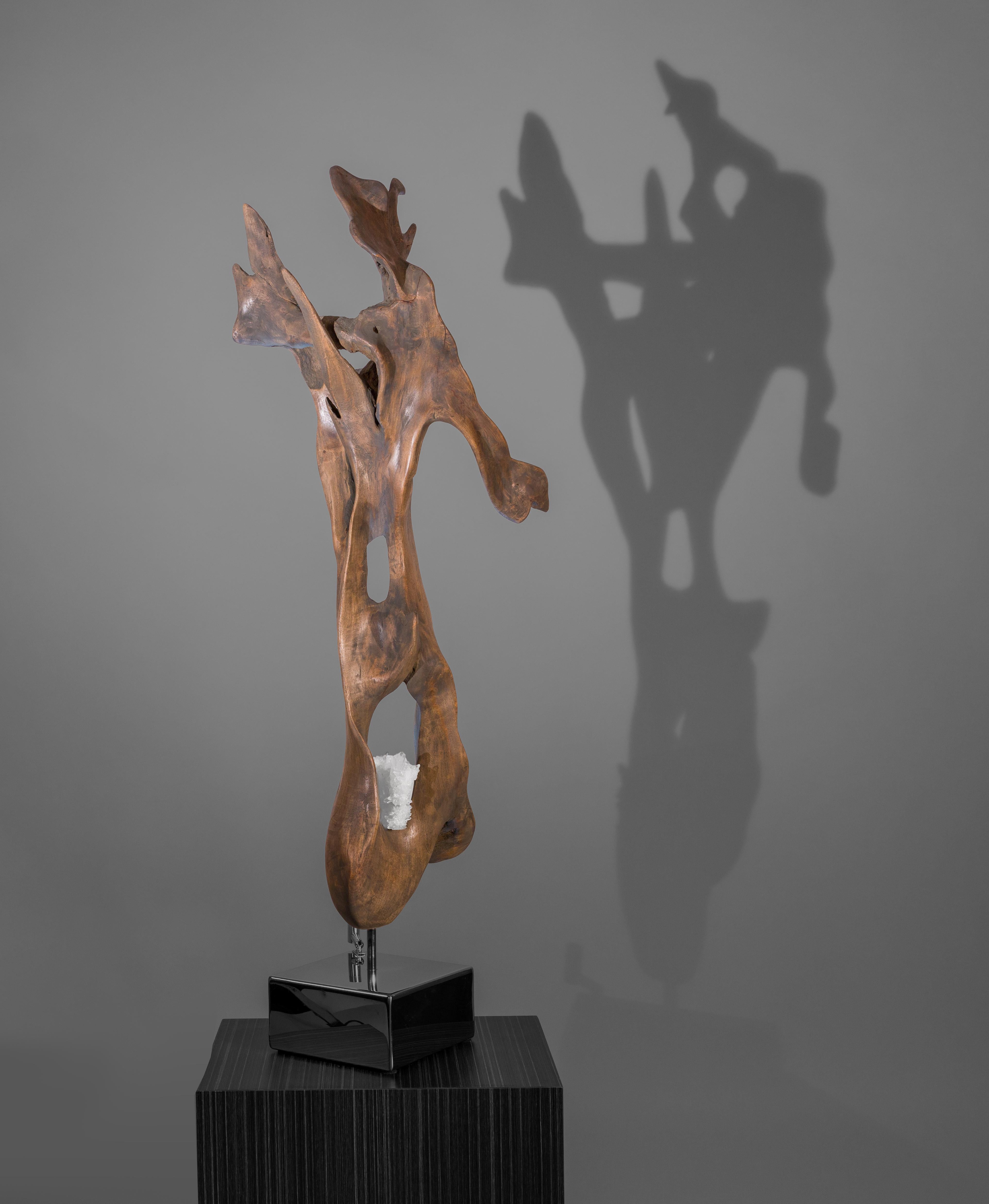 „Sacred Grounding“ gebeiztes Teakholz und Quarzkristall Moderne Organische Moderne Organische  Bildhauerei – Sculpture von Dorit Schwartz
