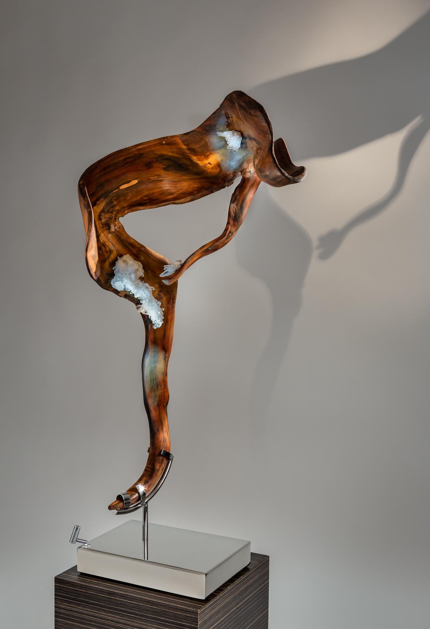 Abstract Sculpture de Dorit Schwartz - "Amor Protegido" Escultura Orgánica Moderna de Palo de Rosa de Indonesia y Cristal de Cuarzo