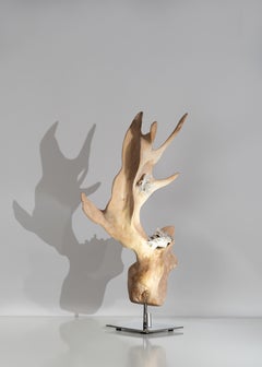 "Enlighten" Teak Wood and Quartz Crystal Modern Organic Sculpture