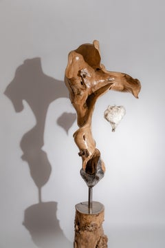 Moderne organische Skulptur „Sanctuary of Light“ aus Tamarind-Holz und lemurianischem Kristall