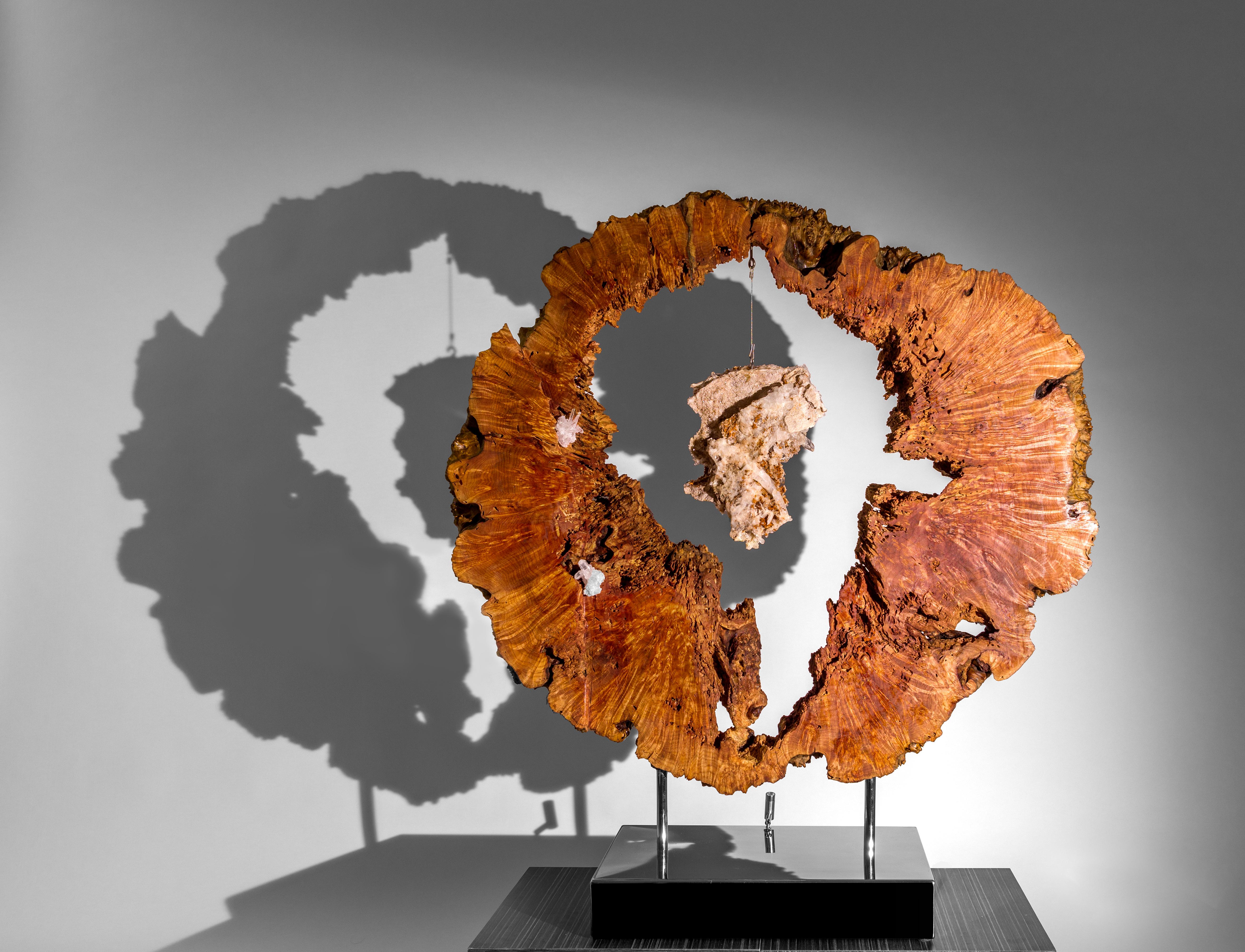Moderne organische Skulptur aus Wurzelholz, Ahorn und lemurianischem Quarz – Sculpture von Dorit Schwartz