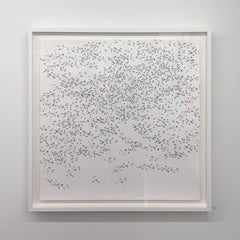 Pycnantha, from the series Archiving Eden - Plant, Seed, Flower, Science