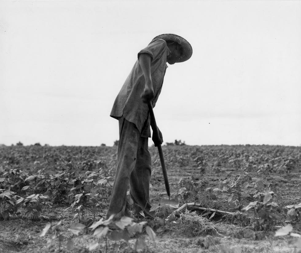 Negro Near Yayoo, Mississippi - Photograph by Dorothea Lange