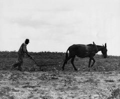 The Cotton Sharecropper’s Unit