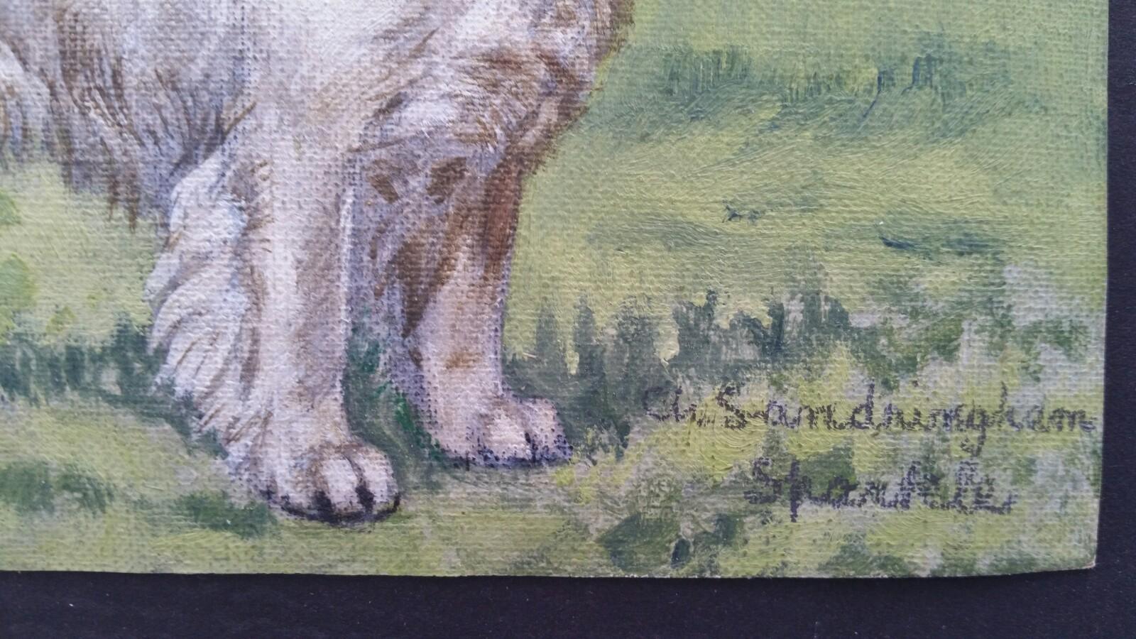 clumber spaniel for sale