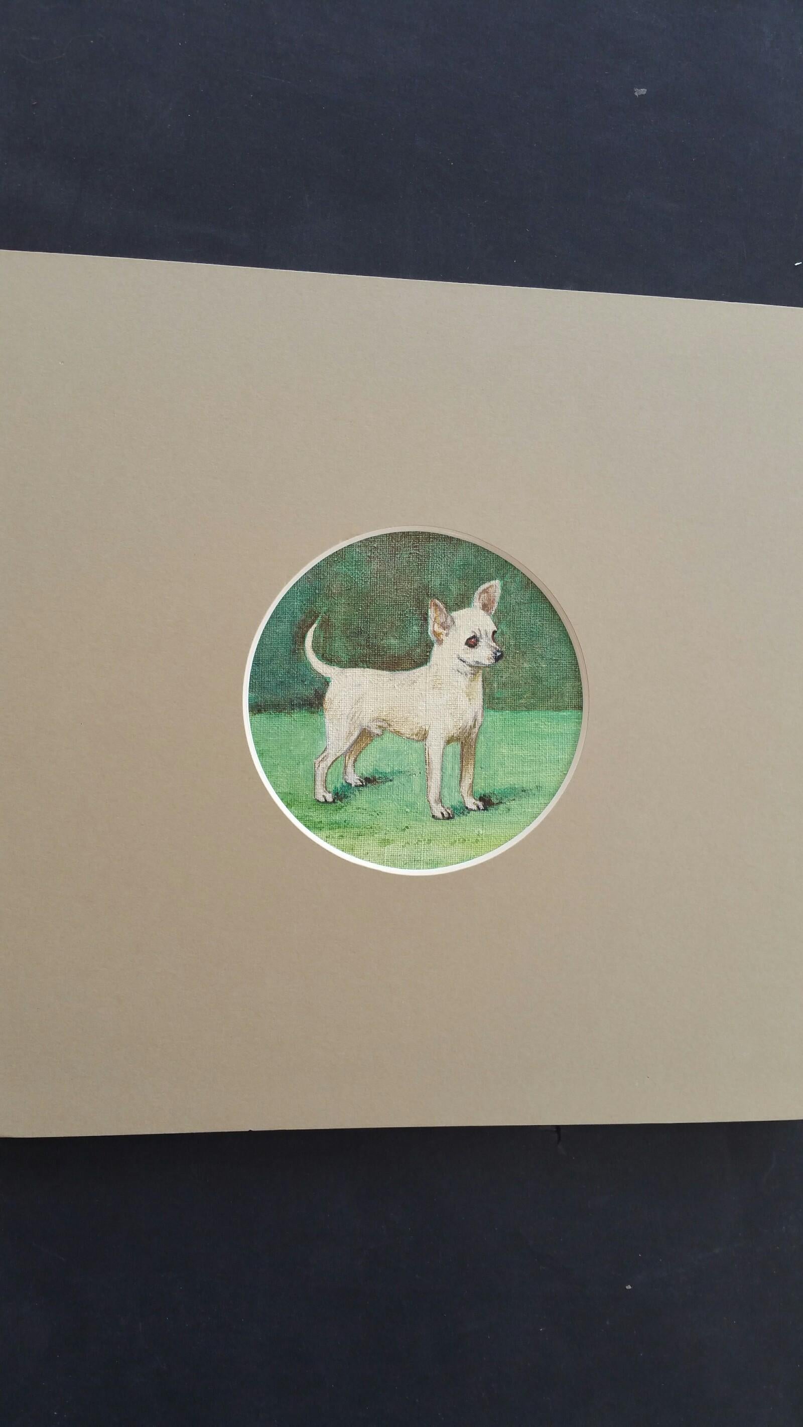 English School Mid 20th Century Oil Painting Chihuahua Dog Painting en vente 1