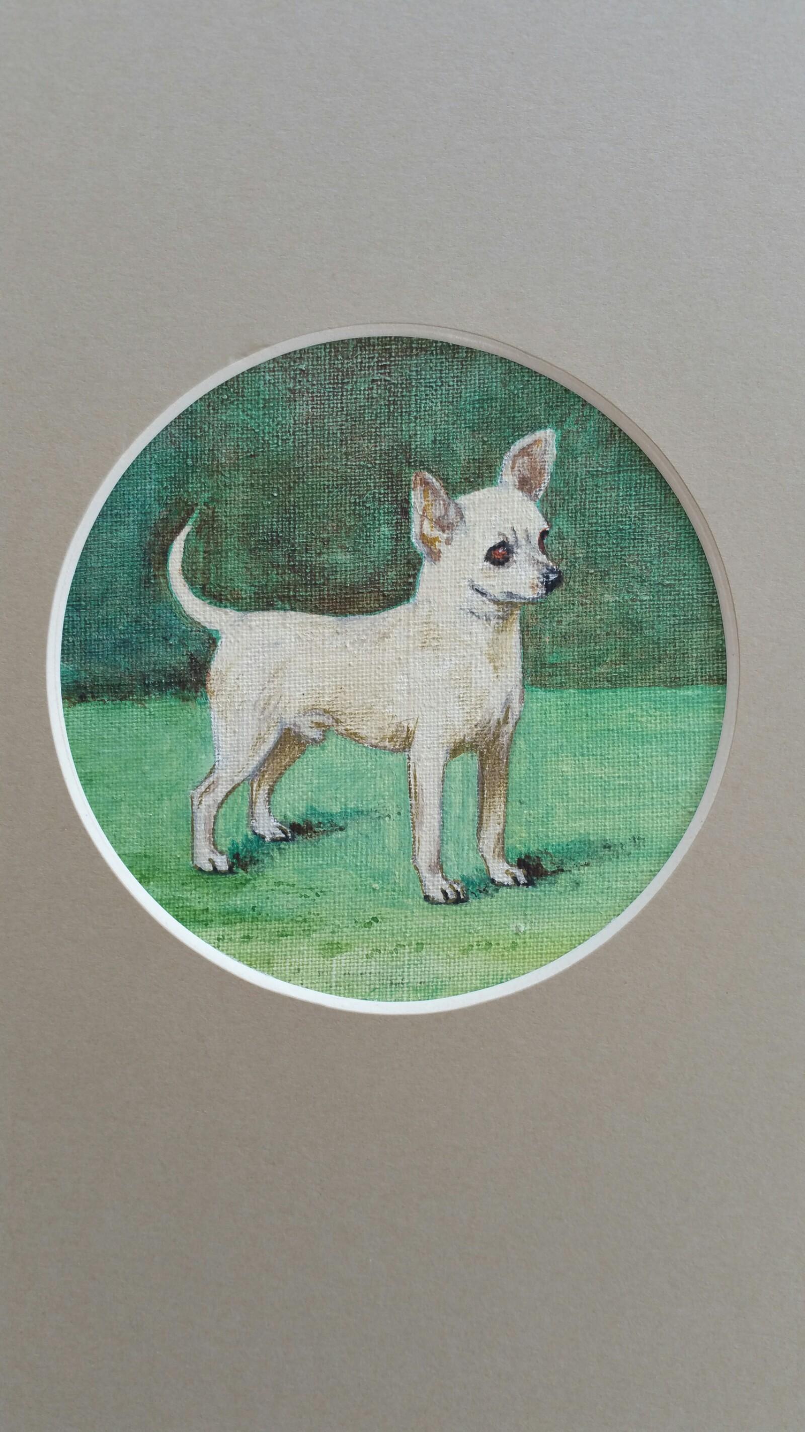Animal Painting Dorothy Alexandra Johnson - English School Mid 20th Century Oil Painting Chihuahua Dog Painting