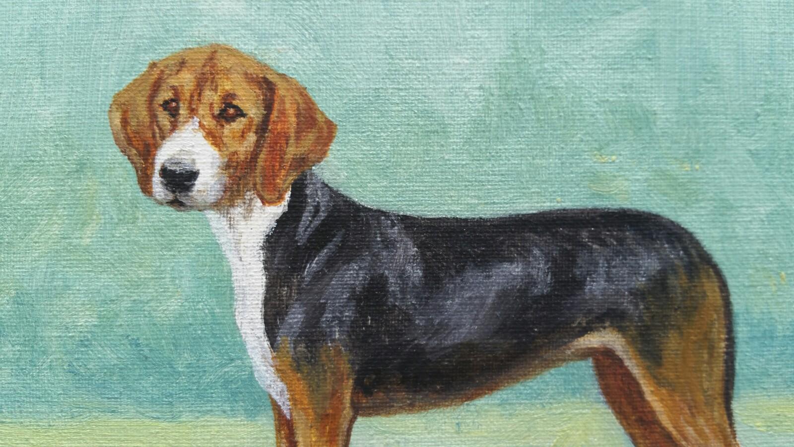 English School Pintura al óleo de mediados del siglo XX Perro sabueso Hamiltonstovare en venta 4