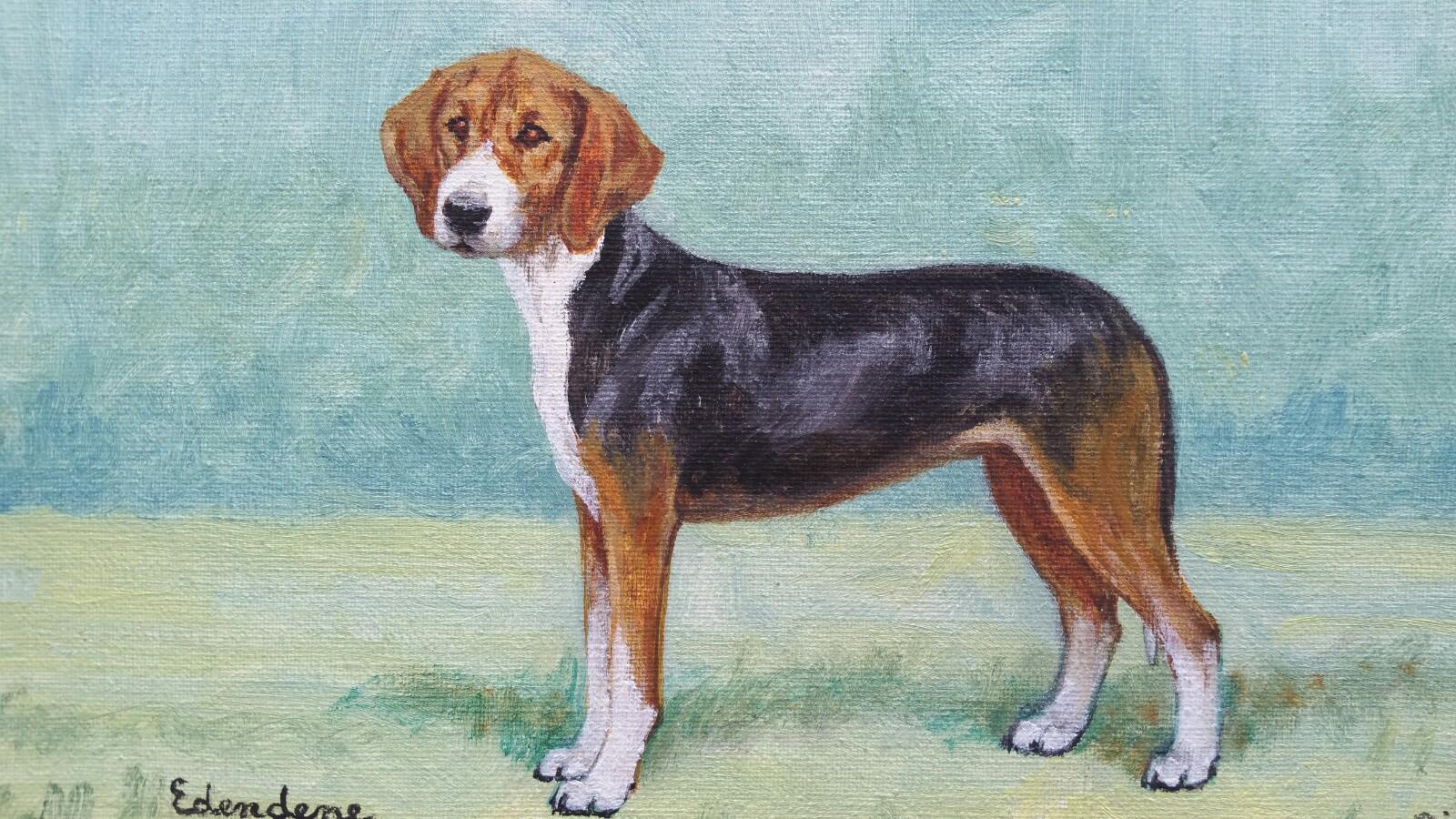 Animal Painting de Dorothy Alexandra Johnson - English School Pintura al óleo de mediados del siglo XX Perro sabueso Hamiltonstovare