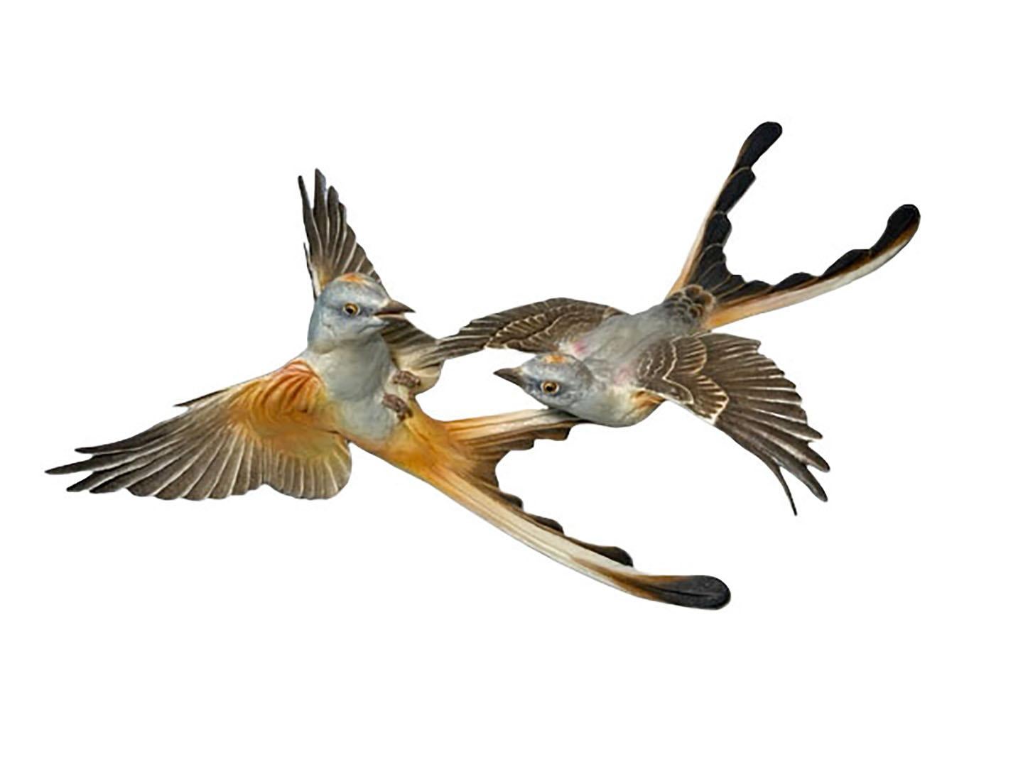 Dorothy Doughty Scissor Tailed Flycatchers In Good Condition For Sale In Dallas, TX