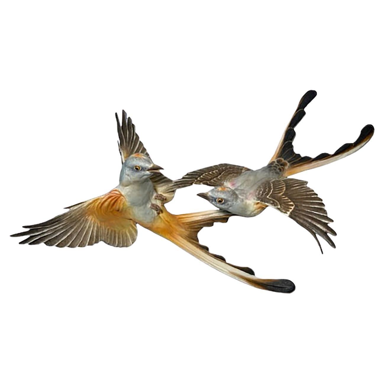 Dorothy Doughty Scissor Tailed Flycatchers For Sale