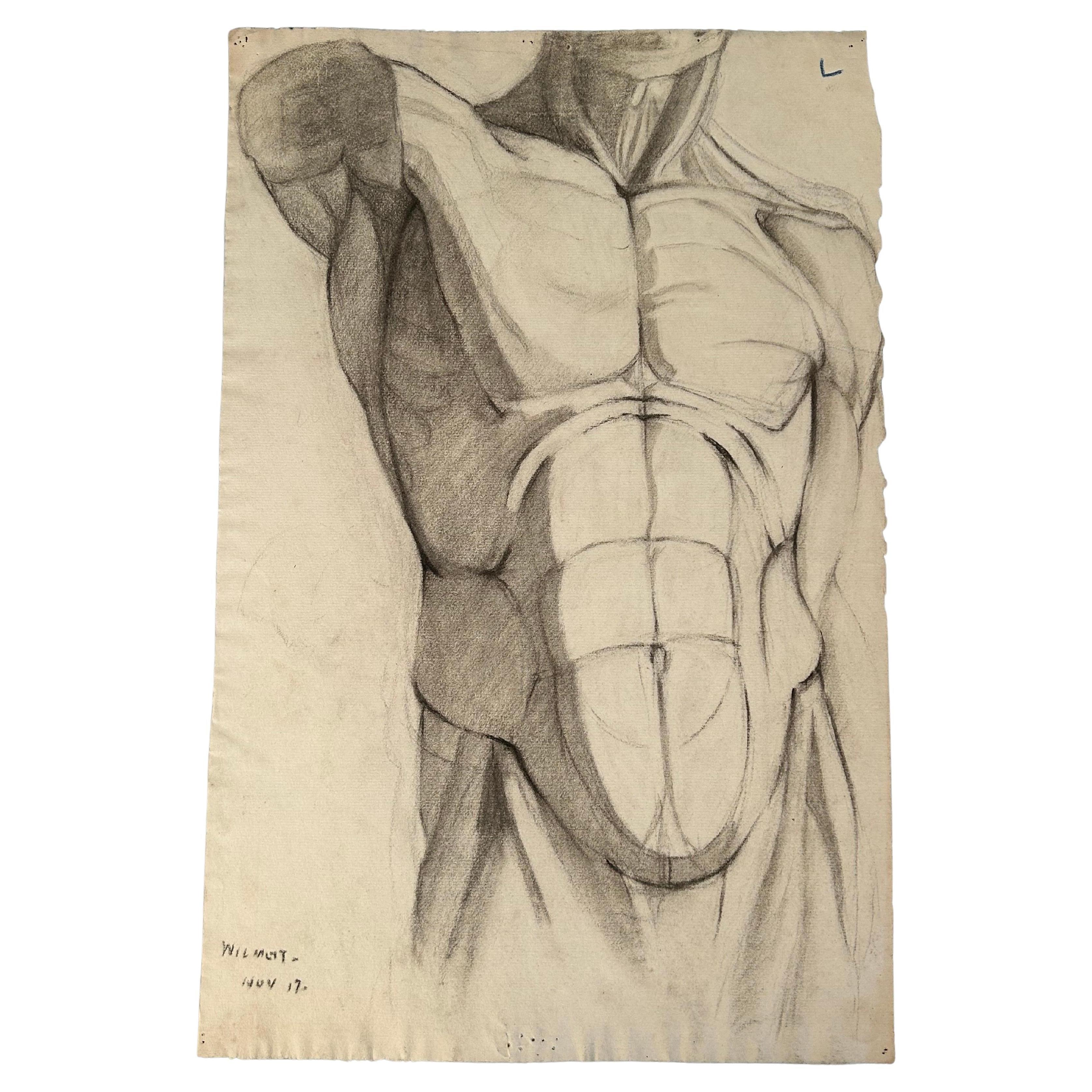 Dorothy Eardley Wilmot (1892-1983) Academic Study of Classical Male Torso 1917 For Sale