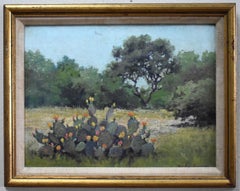 "PRICKLY PEAR" TEXAS HILLCOUNTRY
