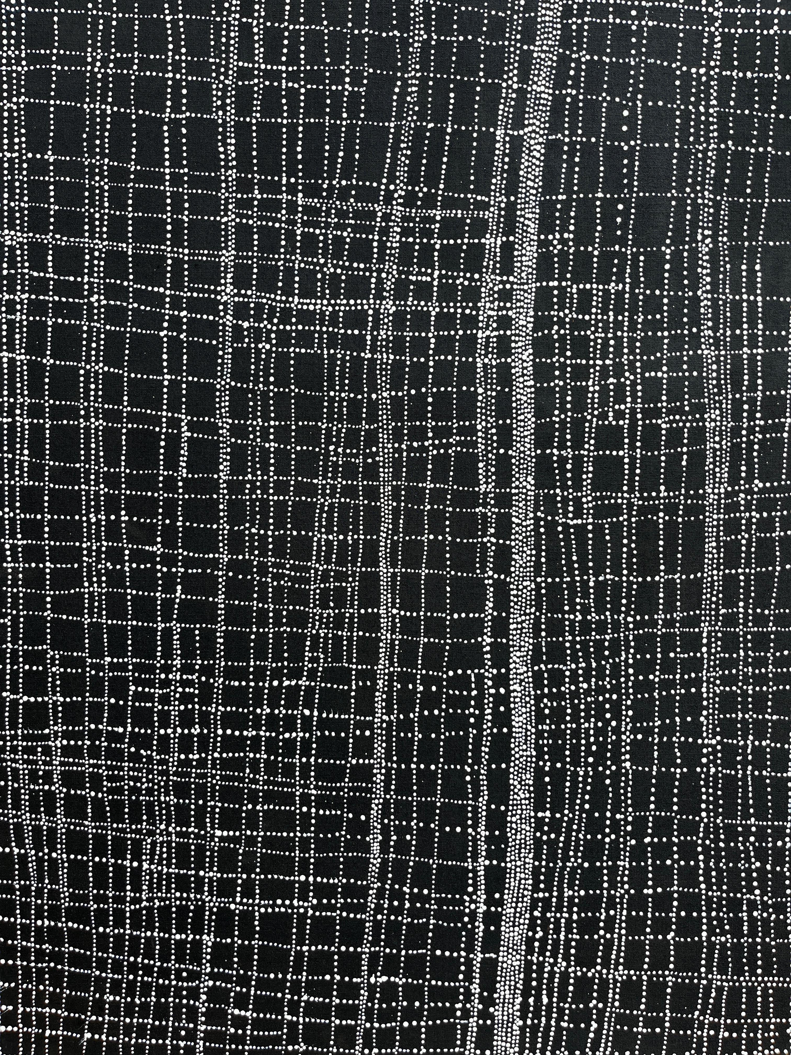 Salt on Mina Mina - Painting by Dorothy Napangardi