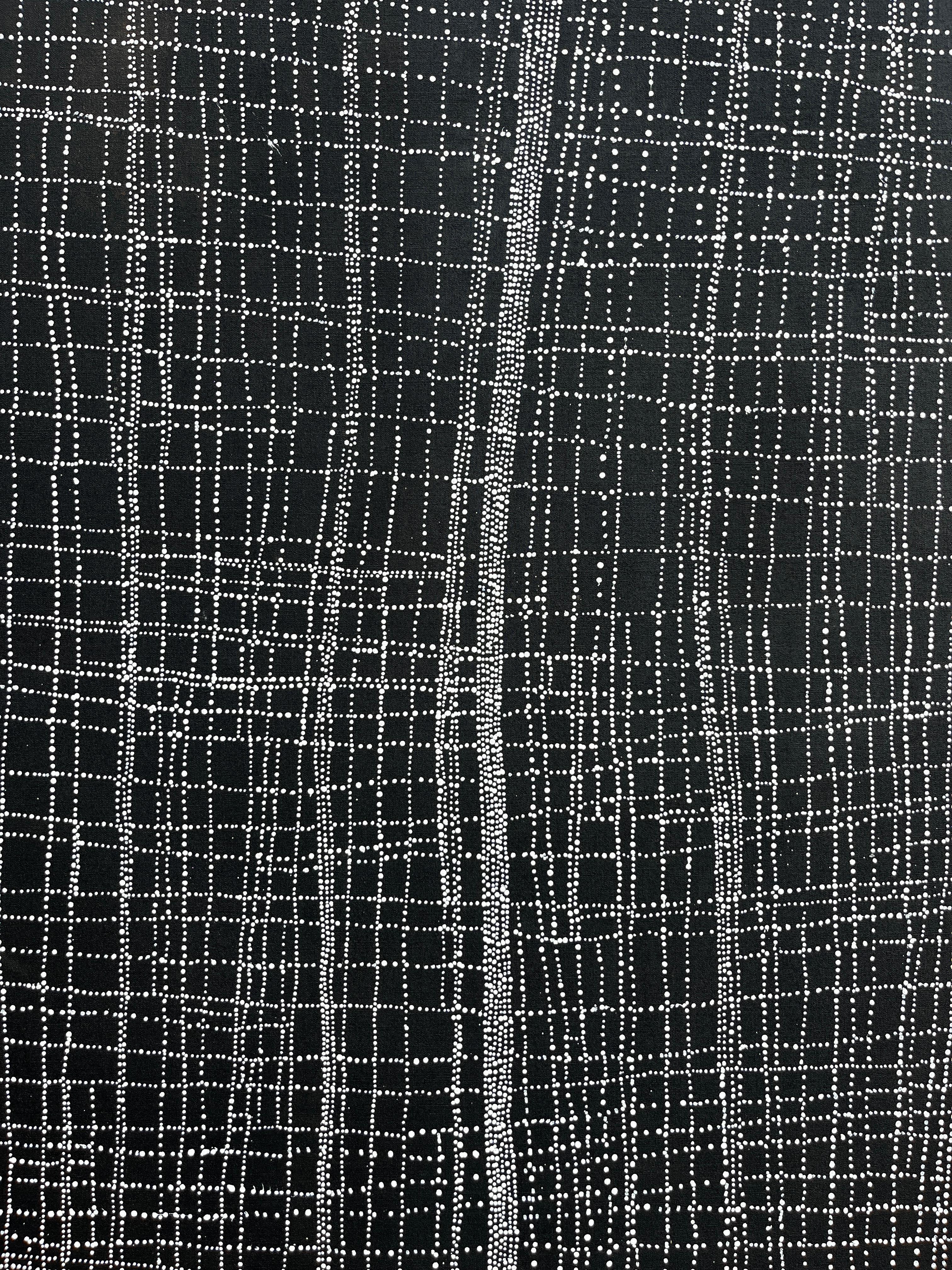 Salt on Mina Mina - Contemporary Painting by Dorothy Napangardi