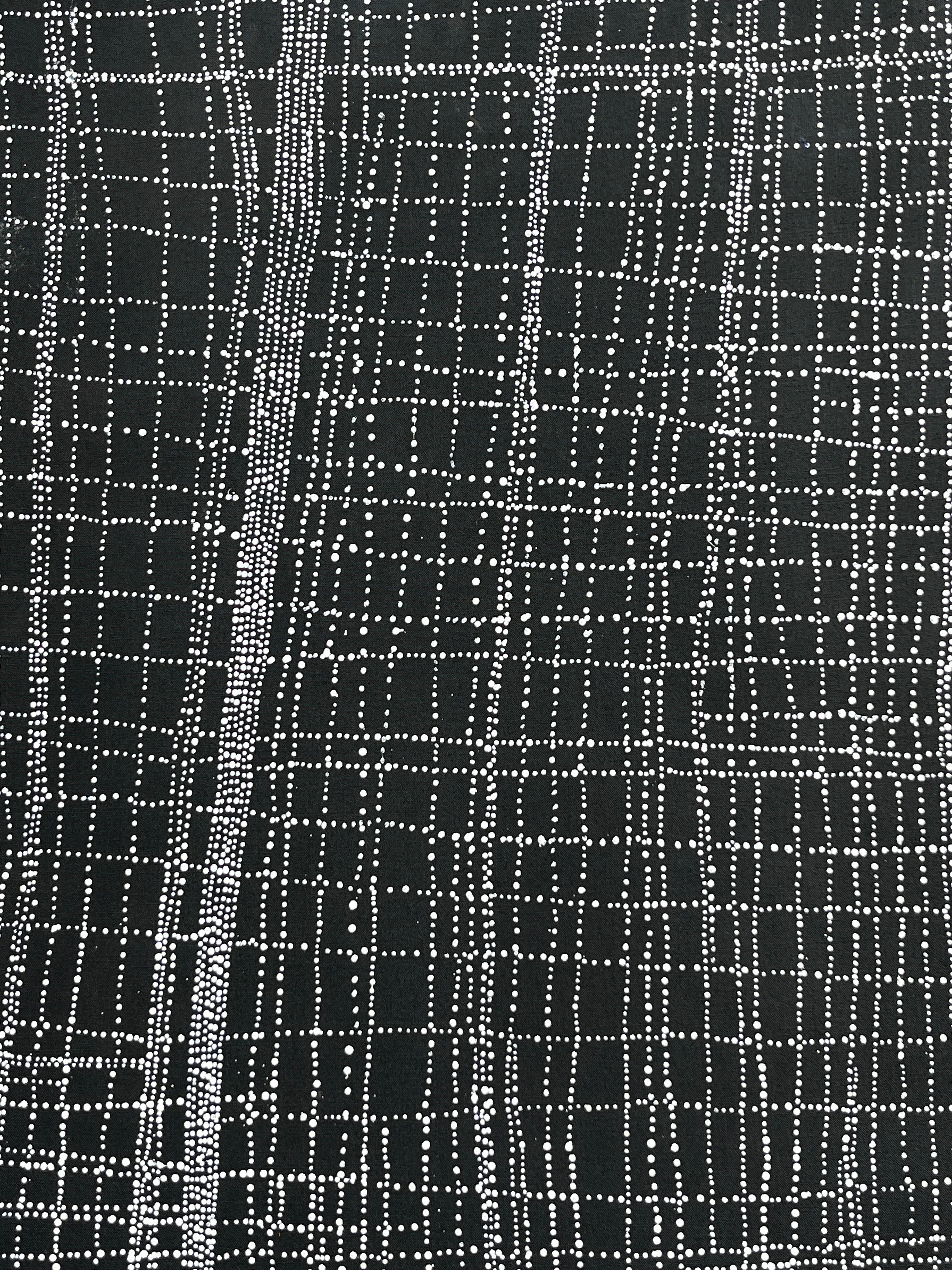 Salt on Mina Mina - Black Abstract Painting by Dorothy Napangardi