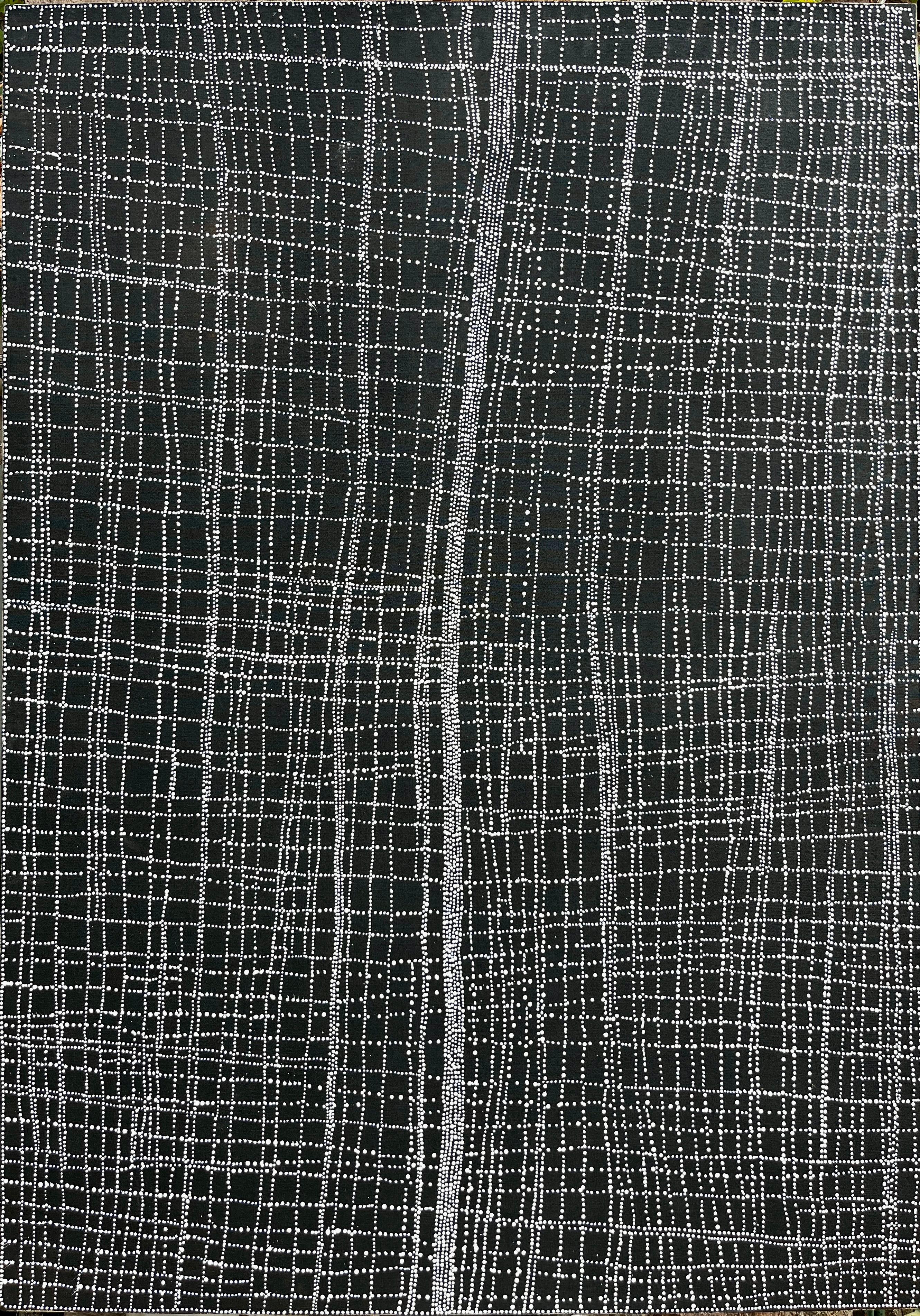 Dorothy Napangardi Abstract Painting - Salt on Mina Mina