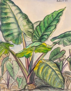Tropical plant