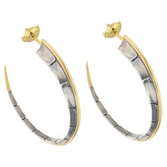 Dorsal Créoles Earrings in 18K Yellow Gold and Distressed Silver by Elie Top