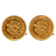 Orecchini con monete d
oro Dos Pesos in oro giallo