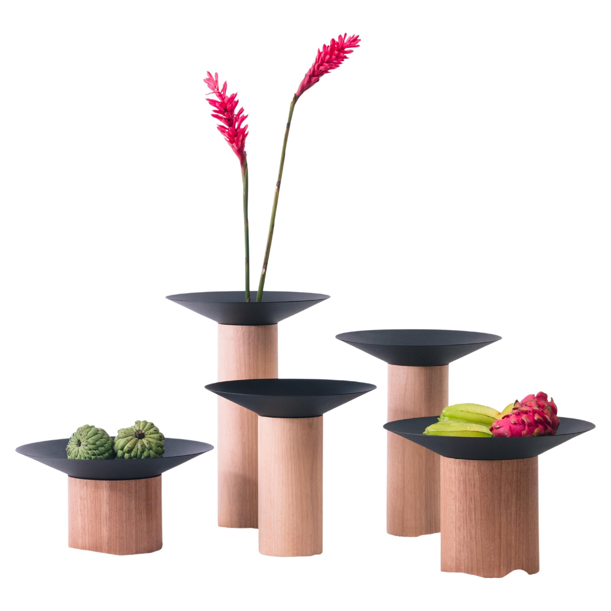 Dossel Collection (Set of 5) by Estúdio Dentro, Brazilian Contemporary Design For Sale