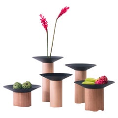 Dossel Collection (Set of 5) by Estúdio Dentro, Brazilian Contemporary Design