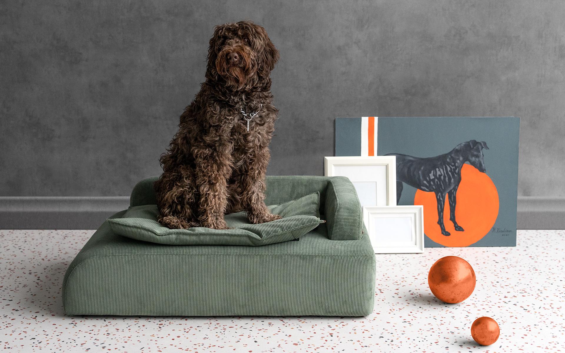 Dottie Green Corduroy Velvet Upholstered Pet Bergere For Sale 6