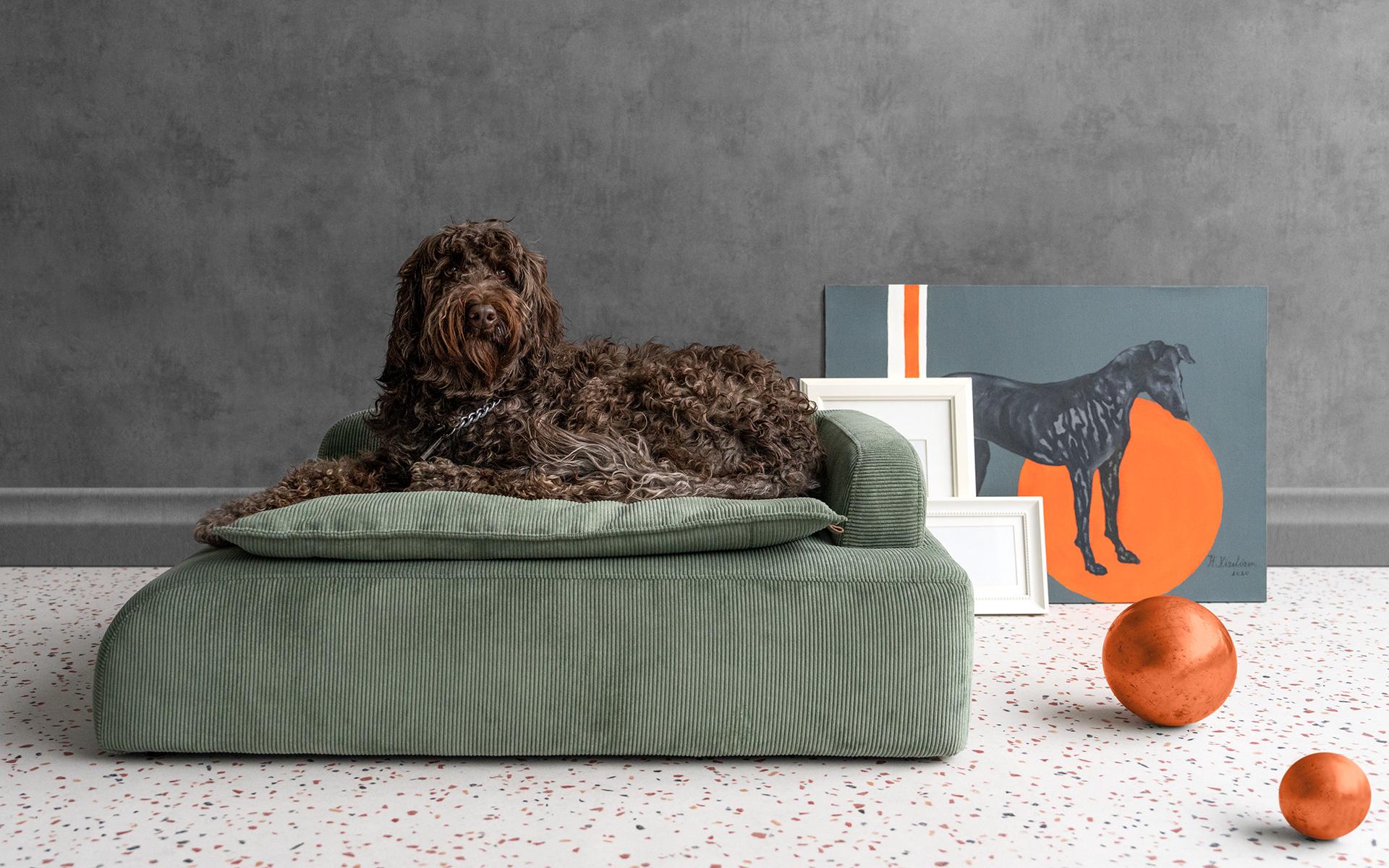 Le fauteuil Dottie Pet, qui offre un espace confortable à vos compagnons bien-aimés vivant avec vous, s'intègre également parfaitement à votre décoration intérieure grâce à son design Dottie. Se distinguant des lits ordinaires pour animaux de