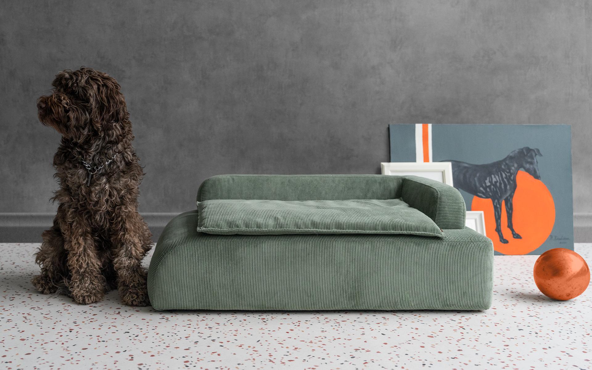 Turkish Dottie Green Corduroy Velvet Upholstered Pet Bergere For Sale