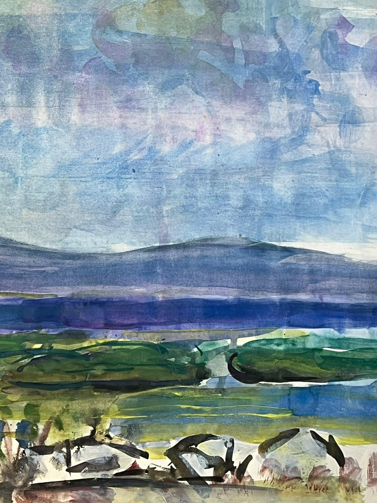 Aquarelle vibrante représentant un paysage vaste avec des montagnes et des champs ouverts - Gris Landscape Painting par Édouard Righetti (1924-2001)