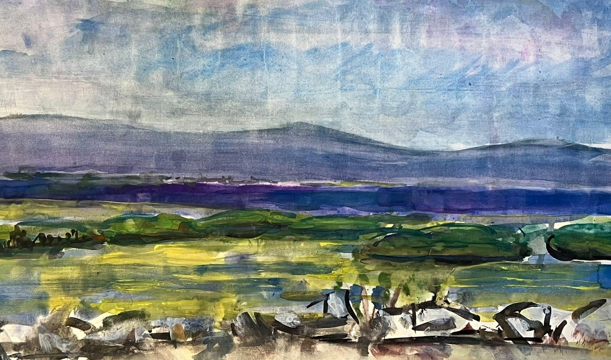 Paysage étendu 
par Édouard Righetti (1924-2001)

Peinture à la gouache sur papier d'artiste, magnifiquement peinte.
très bonne condition
taille : 15 x pouces x 25.5 pouces, sans cadre
provenance : toutes les peintures de cet artiste que nous avons